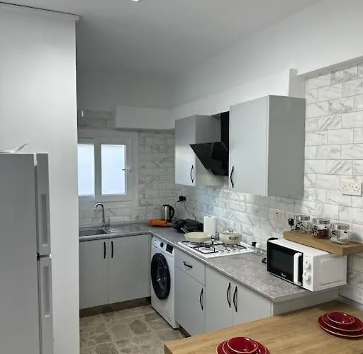 Brand New Renovated 1 Bedroom 3a Appartement